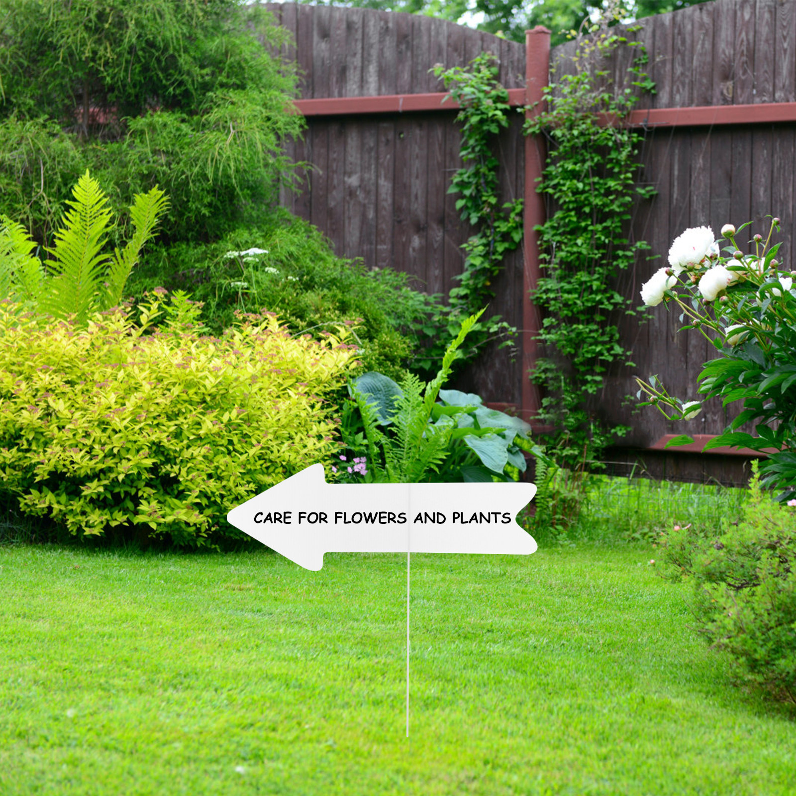 5Pcs Blank Yard Signs with Sta - Yard Sign Blank บทวิจารณ์และราคา